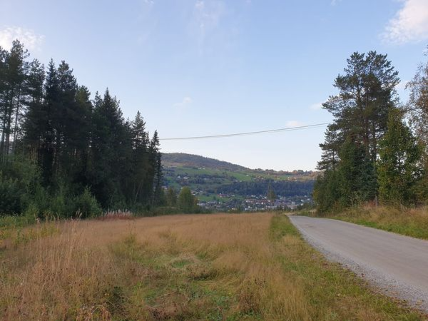 Treningsløp 11/9-2024 kl. 17:30